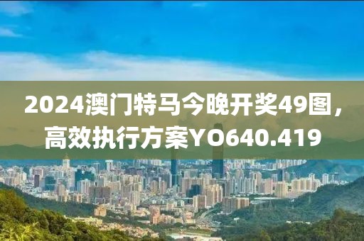 2024澳门特马今晚开奖49图，高效执行方案YO640.419