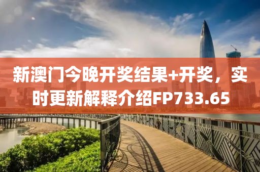 新澳门今晚开奖结果+开奖，实时更新解释介绍FP733.65