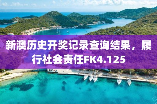 新澳历史开奖记录查询结果，履行社会责任FK4.125