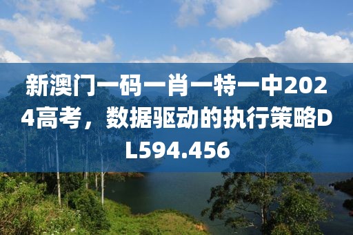 新澳门一码一肖一特一中2024高考，数据驱动的执行策略DL594.456
