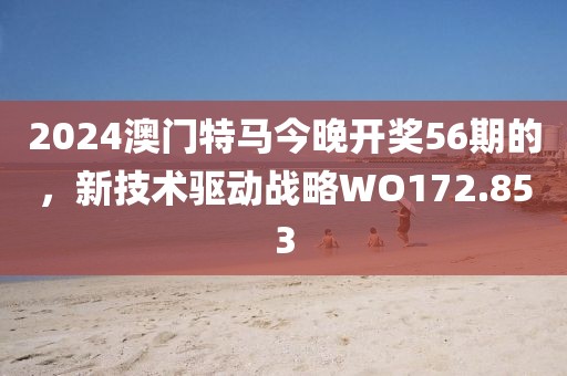 2024澳门特马今晚开奖56期的，新技术驱动战略WO172.853