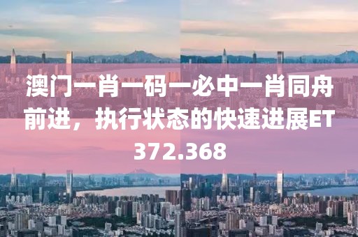 澳门一肖一码一必中一肖同舟前进，执行状态的快速进展ET372.368