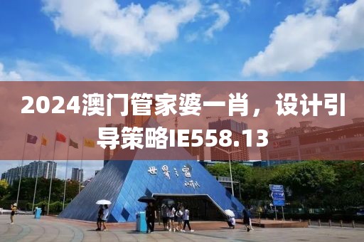 2024澳门管家婆一肖，设计引导策略IE558.13