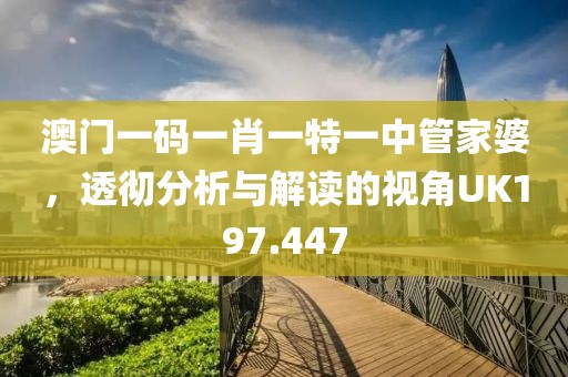 澳门一码一肖一特一中管家婆，透彻分析与解读的视角UK197.447