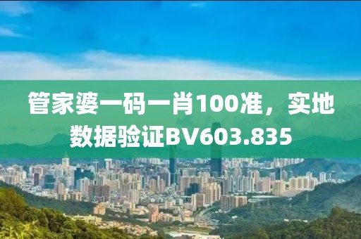 管家婆一码一肖100准，实地数据验证BV603.835