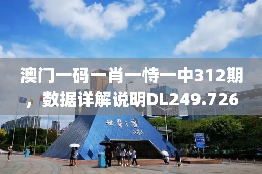 澳门一码一肖一恃一中312期，数据详解说明DL249.726