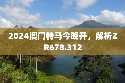 2024澳门特马今晚开，解析ZR678.312