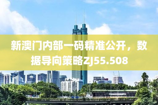 新澳门内部一码精准公开，数据导向策略ZJ55.508