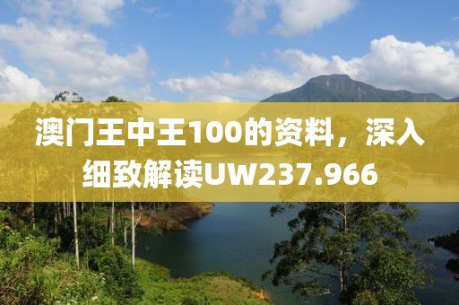 澳门王中王100的资料，深入细致解读UW237.966