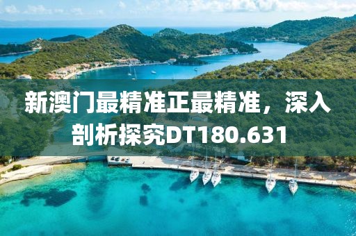 新澳门最精准正最精准，深入剖析探究DT180.631