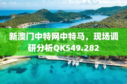 新澳门中特网中特马，现场调研分析QK549.282