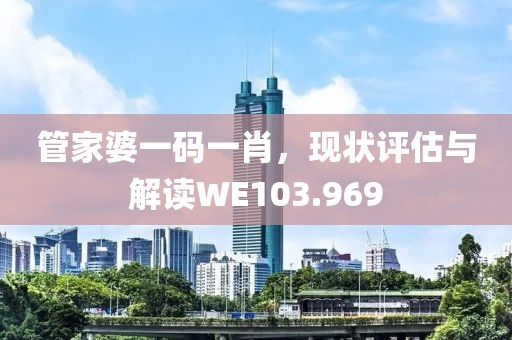 管家婆一码一肖，现状评估与解读WE103.969