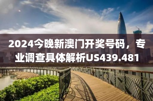 2024今晚新澳门开奖号码，专业调查具体解析US439.481