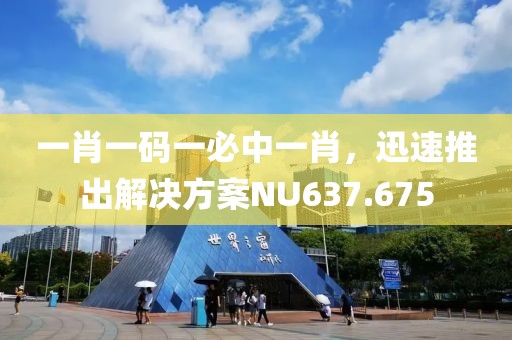 一肖一码一必中一肖，迅速推出解决方案NU637.675