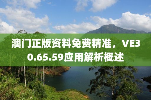 澳门正版资料免费精准，VE30.65.59应用解析概述