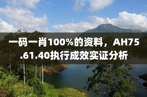 一码一肖100%的资料，AH75.61.40执行成效实证分析