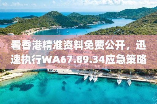 看香港精准资料免费公开，迅速执行WA67.89.34应急策略