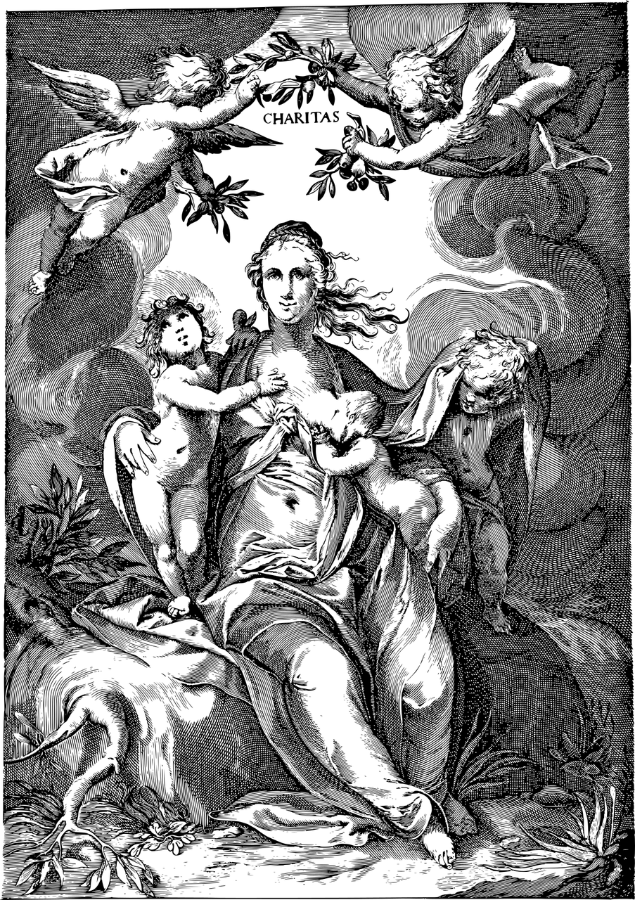 最新版念慈，革新与传承的交融之美