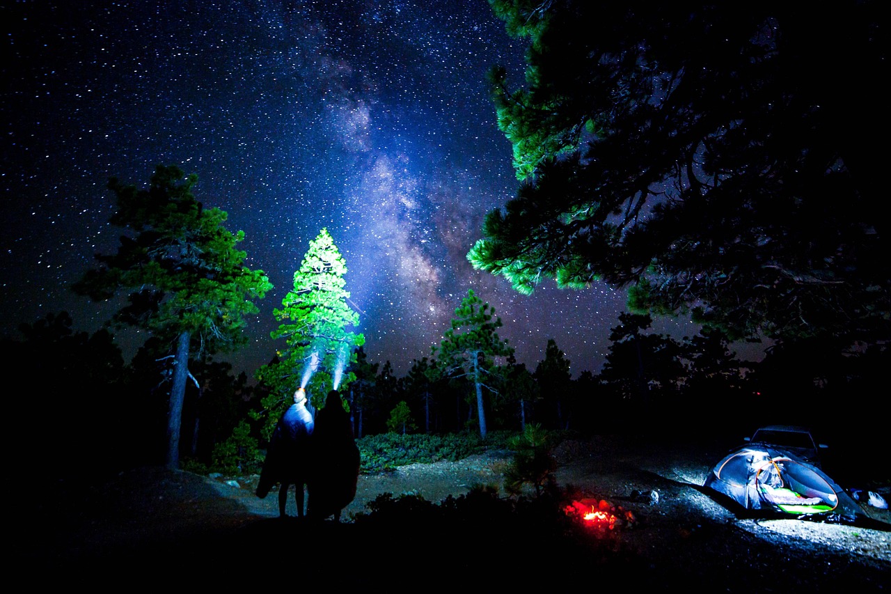 夜如瑶最新章节，奇幻神秘世界的探险之旅
