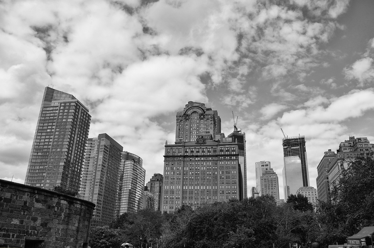 肖战李宁最新跨界合作动态，共赢之路与粉丝经济揭秘