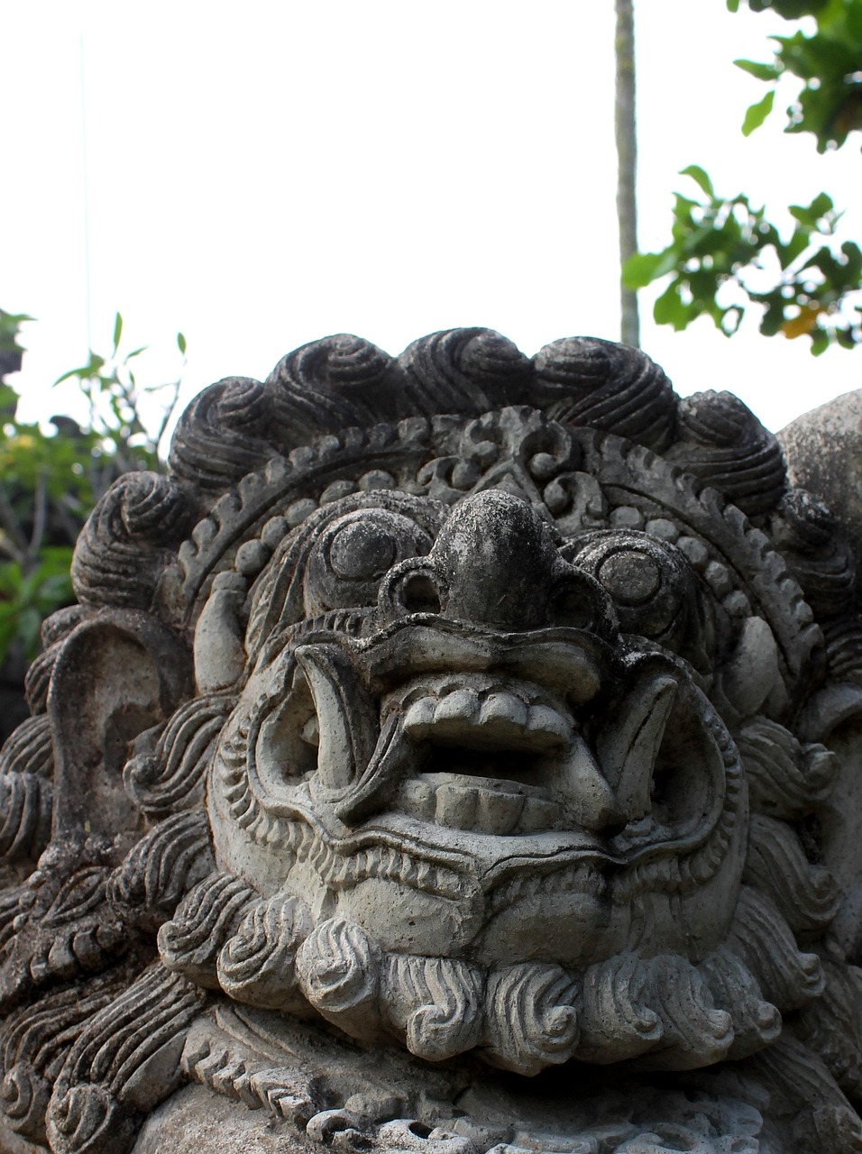 龙泉寺最新动态揭秘，时代变迁中的佛教文化新面貌探索