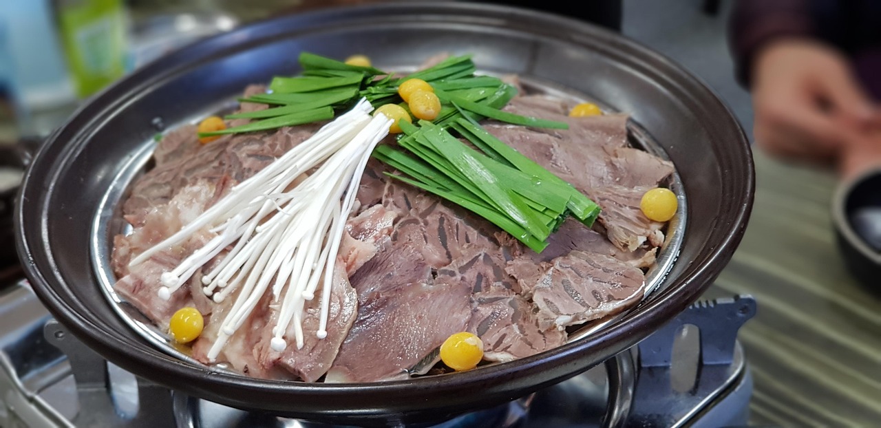 艾波吃播最新动态，美食之旅再掀新篇章
