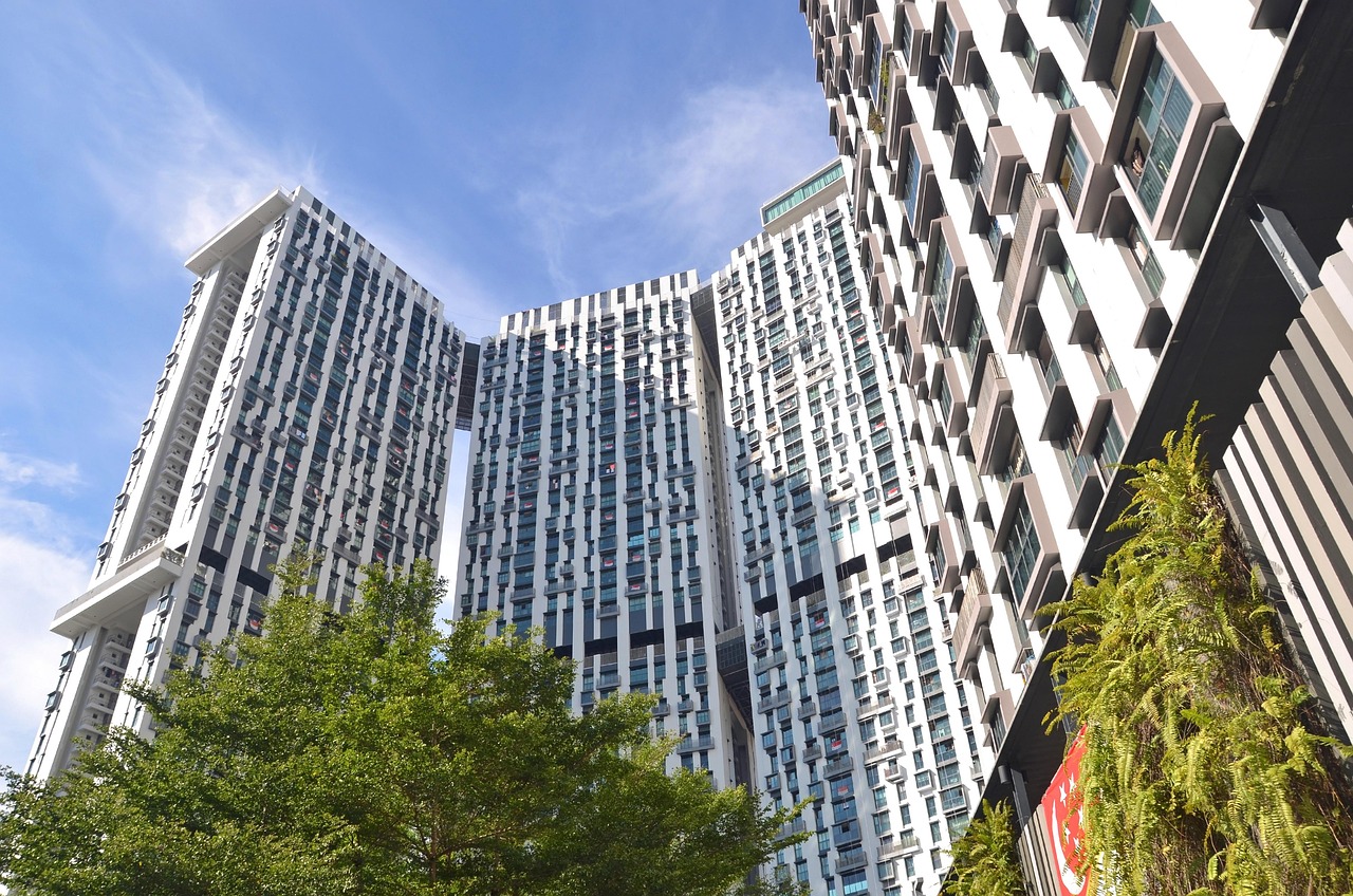 张轲最新建筑，现代都市新篇章的典范