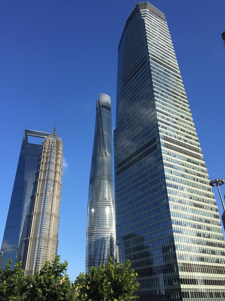 浦东青年发展与城市未来的融合共生，最新答案揭秘青年大事件影响与机遇