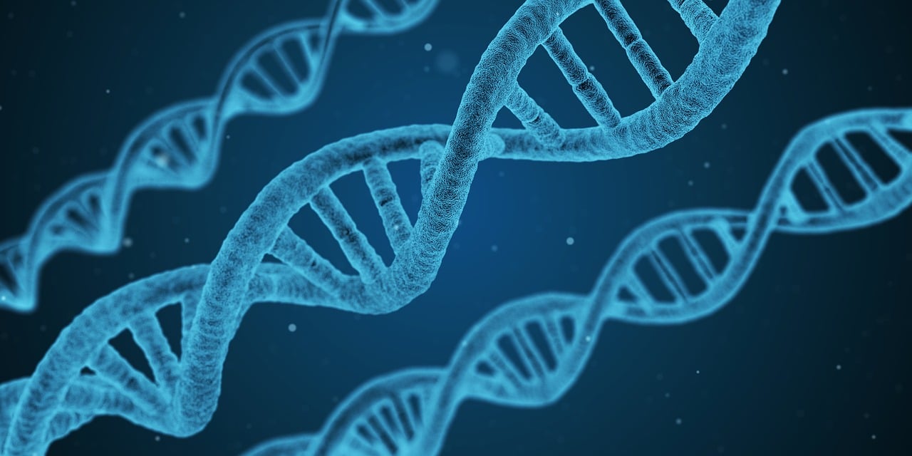 最新新冠防疫措施，构建科学防线，守护健康防线