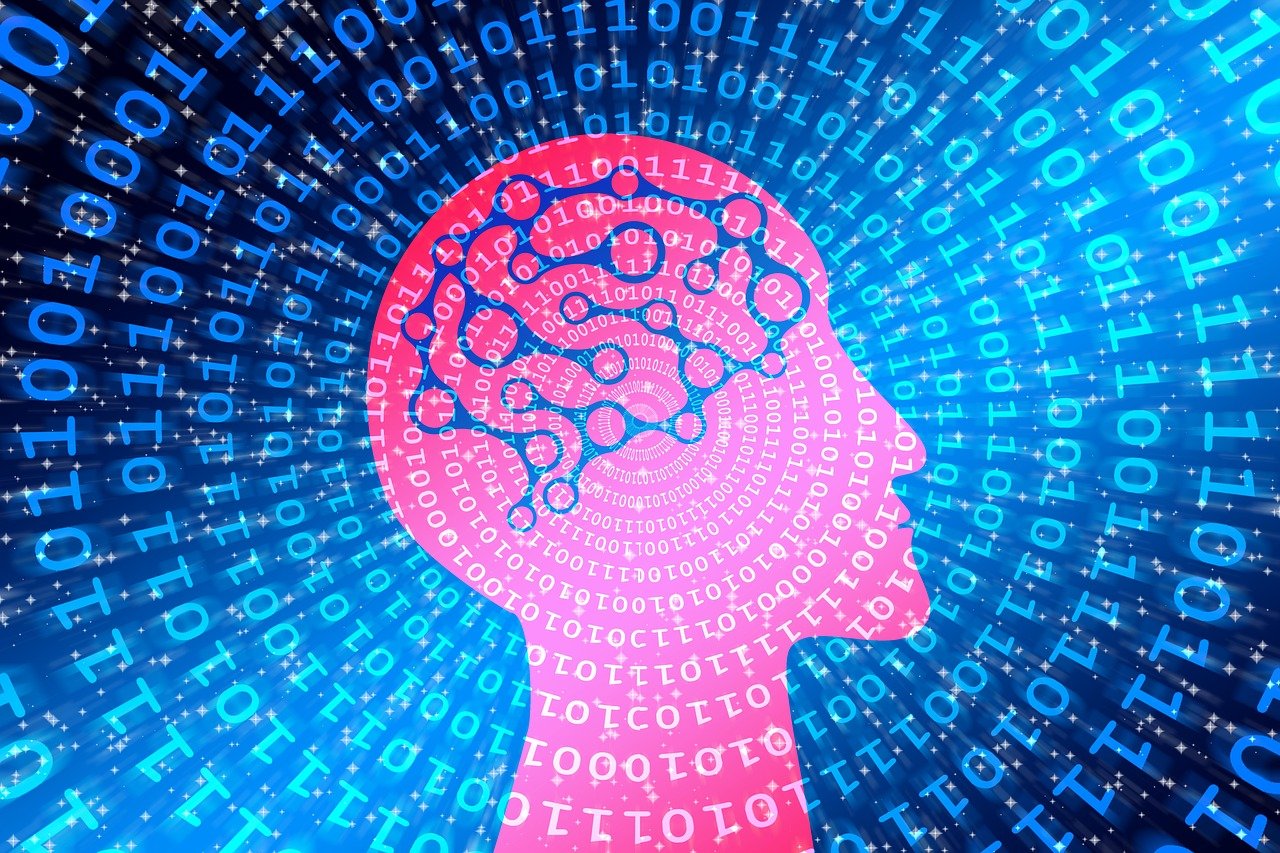 最新百度达人，数字时代的智慧先锋探索