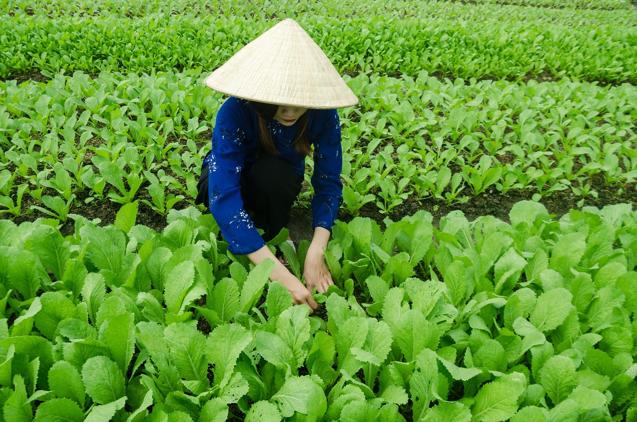 活力四溢的北方明珠——张家口最新发展动态