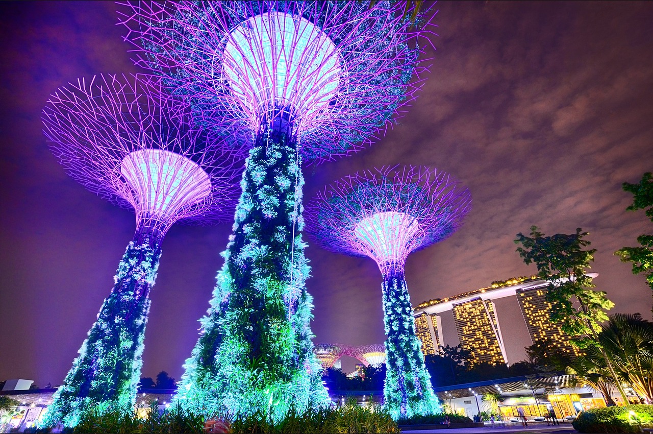 五月夜生活资讯，多彩魅力的最新夜生活指南